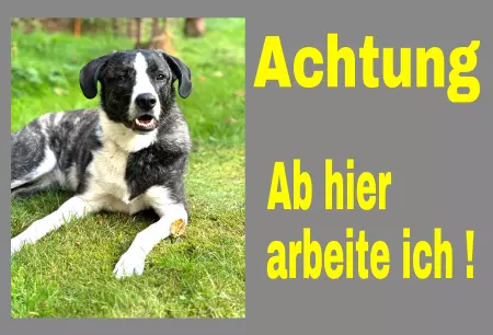 Hunde Warnschild Zutritt verbotenHunde Ab hier arbeite ich! Bild