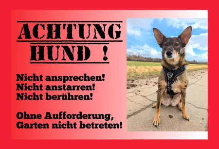 Hunde Warnschild Zutritt verboten Hunde Achtung Hund! Bild