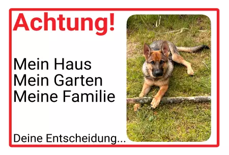 Hunde Warnschild Zutritt verbotenHunde ACHTUNG - Mein Haus, deine Entscheidung Bild