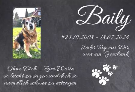 Hunde Warnschild Zutritt verbotenHunde Baily Bild