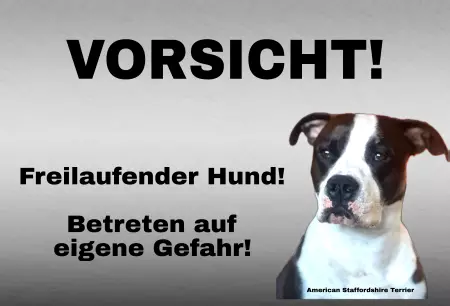 Hunde Warnschild Zutritt verbotenHunde Betreten auf eigene Gefahr! Bild