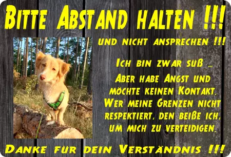 Hunde Warnschild Zutritt verbotenHunde BITTE ABSTAND HALTEN !!! Bild