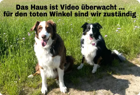 Hunde Warnschild Zutritt verbotenHunde Das Haus ist Video überwacht Bild