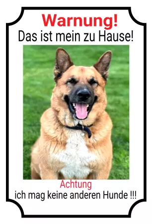 Hunde Warnschild Zutritt verbotenHunde Das ist mein Zuhause Bild