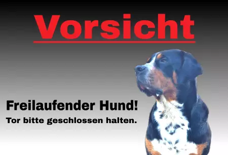 Hunde Warnschild Zutritt verbotenHunde Freilaufender Hund! Bild