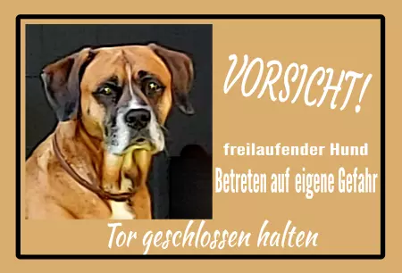 Hunde Warnschild Zutritt verbotenHunde Freilaufender Hund Bild