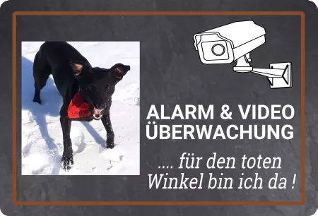 Hunde Warnschild Zutritt verbotenHunde .. für den toten Winkel ... Bild