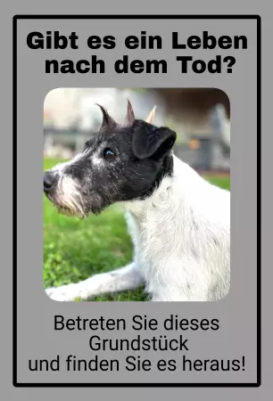 Hunde Warnschild Zutritt verboten Hunde Gibt es ein Leben nach dem Tod? Bild