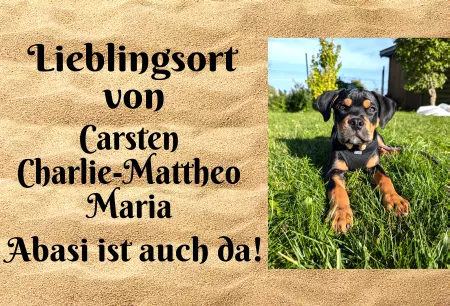 Hunde Warnschild Zutritt verboten Hunde Lieblingsort Bild