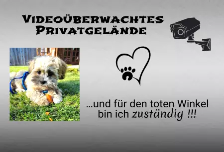 Hunde Warnschild Zutritt verbotenHunde Videoüberwachtes Privatgelände Bild