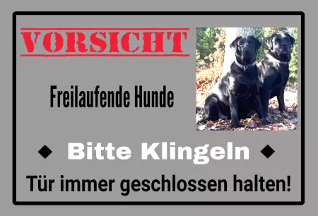 Hunde Warnschild Zutritt verbotenHunde VORISCHT  - Bitte klingeln Bild