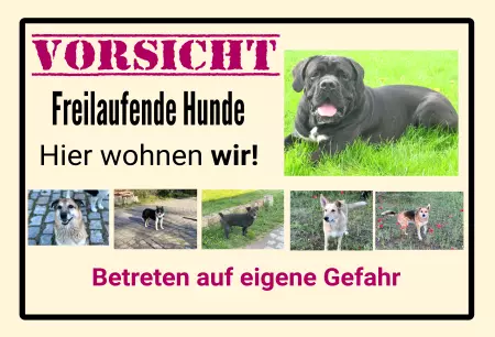 Hunde Warnschild Zutritt verbotenHunde VORSICHT Freilaufender Hund Bild