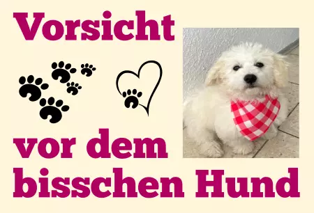 Hunde Warnschild Zutritt verbotenHunde Vorsicht vor dem bisschen Hund Bild