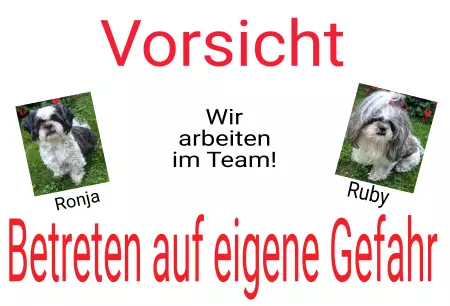 Hunde Warnschild Zutritt verbotenHunde Wir arbeiten im Team! Bild