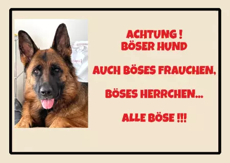 Hunde Warnschild Zutritt verbotenHunde Achtung! Böser Hund Bild