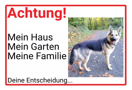 Hunde Warnschild Zutritt verboten Hunde Achtung! Deine Entscheidung... Bild