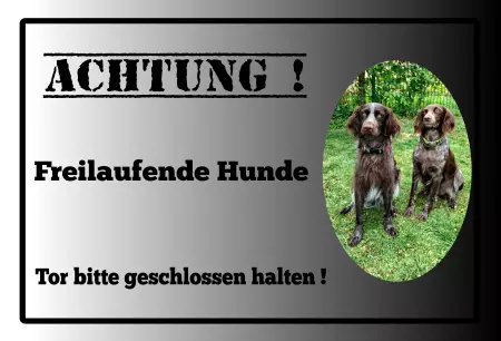 Hunde Warnschild Zutritt verboten Hunde Achtung! Freilaufende Hunde Bild