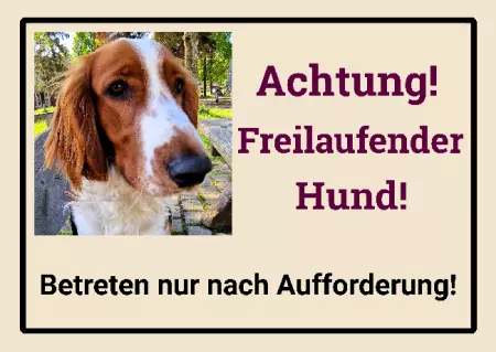 Hunde Warnschild Zutritt verboten Hunde Achtung! Freilaufender Hund! Bild