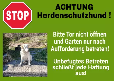 Hunde Warnschild Zutritt verboten Hunde ACHTUNG Herdenschutzhund! Bild