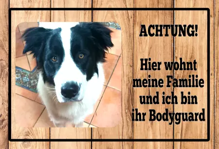 Hunde Warnschild Zutritt verbotenHunde Achtung! Hier wohnt meine Familie Bild