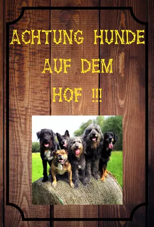 Hunde Warnschild Zutritt verbotenHunde ACHTUNG HUNDE AUF DEM HOF !!! Bild