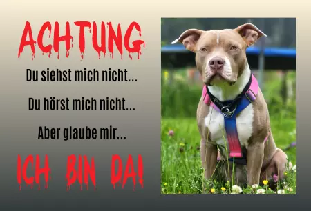 Hunde Warnschild Zutritt verbotenHunde ACHTUNG - ICH BIN DA Bild
