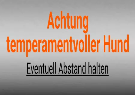 Hunde Warnschild Zutritt verbotenHunde Achtung temperamentvoller Hund Bild