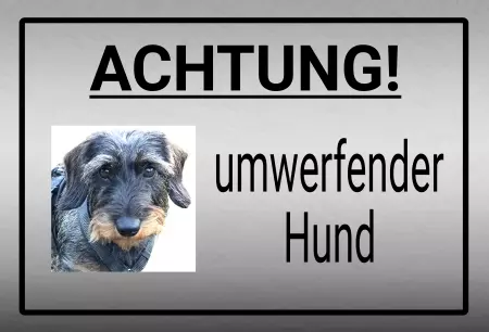 Hunde Warnschild Zutritt verbotenHunde ACHTUNG! Umwerfender Hund Bild