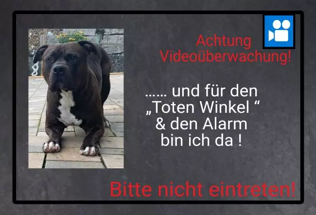 Hunde Warnschild Zutritt verboten Hunde Achtung Videoüberwachung! Bild