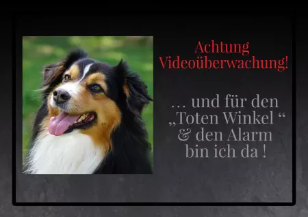 Hunde Warnschild Zutritt verboten Hunde Achtung Videoüberwachung Bild