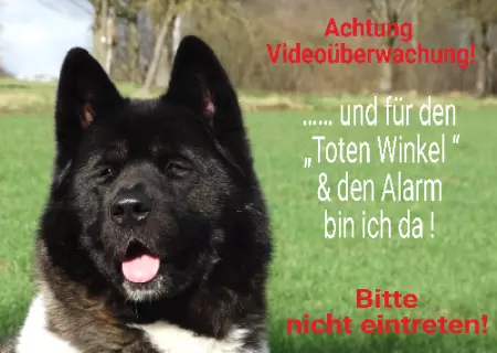 Hunde Warnschild Zutritt verboten Hunde Achtung Videoüberwachung Bild