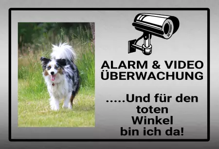 Hunde Warnschild Zutritt verbotenHunde Alarm & Videoüberwachung Bild