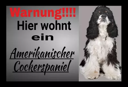 Hunde Warnschild Zutritt verboten Hunde Amerikanischer Cockerspaniel Bild