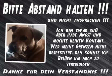 Hunde Warnschild Zutritt verbotenHunde Bitte Abstand halten!!! Bild
