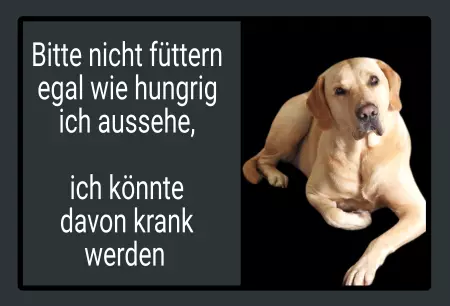 Hunde Warnschild Zutritt verbotenHunde Bitte nicht füttern! Bild
