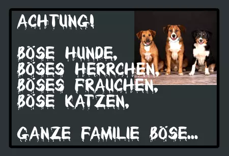 Hunde Warnschild Zutritt verbotenHunde Böse Hunde, böses Herrchen Bild