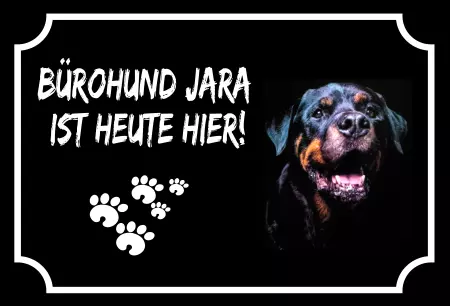 Hunde Warnschild Zutritt verbotenHunde Bürhohund Jara Bild