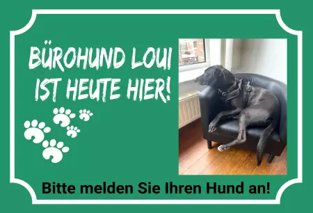 Hunde Warnschild Zutritt verbotenHunde Bürohund Loui ist heute hier! Bild