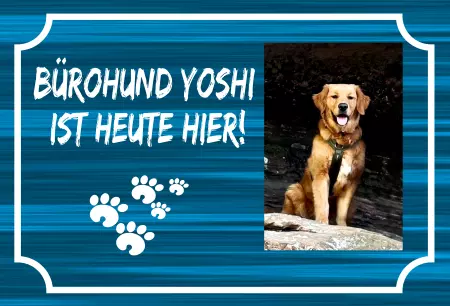 Hunde Warnschild Zutritt verboten Hunde Bürohund Yoshi ist heute hier! Bild