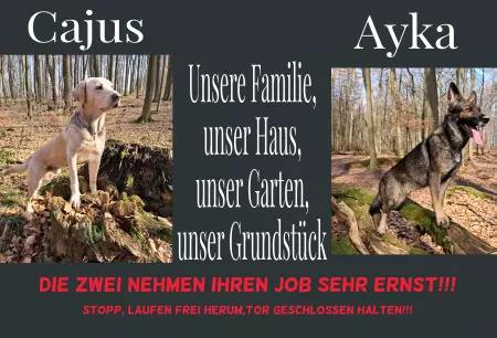 Hunde Warnschild Zutritt verboten Hunde Cajus & Ayka Bild