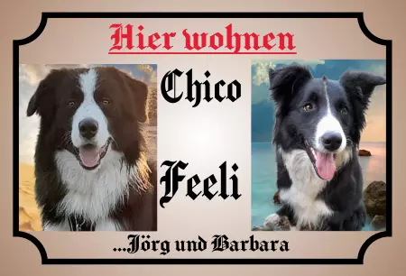 Hunde Warnschild Zutritt verboten Hunde Chico & Feeli Bild