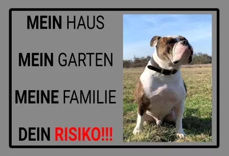 Hunde Warnschild Zutritt verboten Hunde DEIN RISIKO!!! Bild