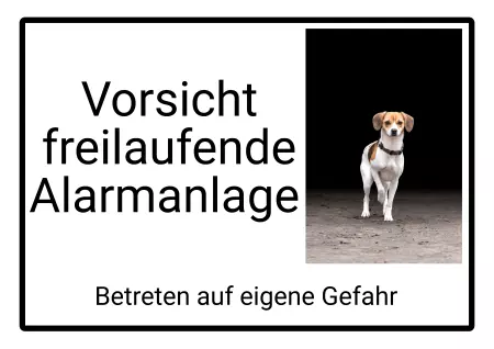 Hunde Warnschild Zutritt verboten Hunde Freilaufende Alarmanlage Bild