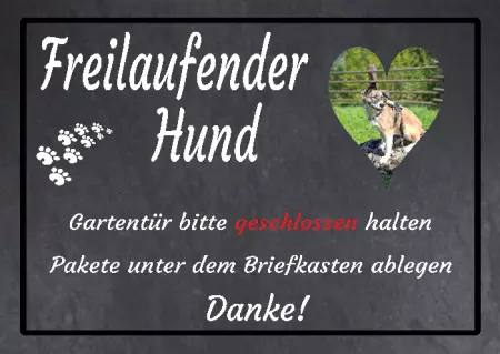 Hunde Warnschild Zutritt verboten Hunde Freilaufender Hund Bild