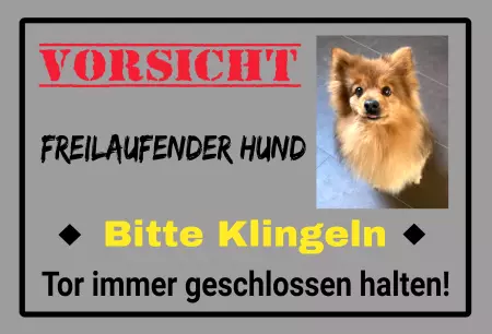 Hunde Warnschild Zutritt verbotenHunde Freilaufender Hund Bitte klingeln Bild