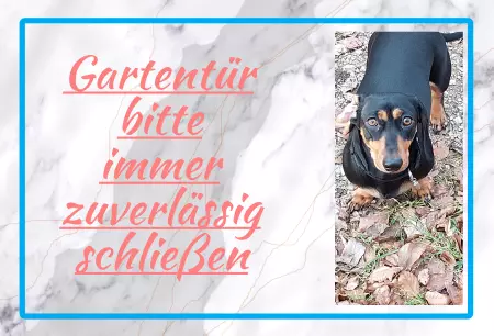 Hunde Warnschild Zutritt verbotenHunde Gartentür bitte immer zuverlässig schließen Bild