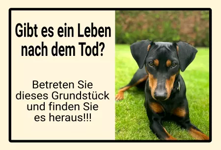 Hunde Warnschild Zutritt verbotenHunde Gibt es ein Leben nach dem Tod? Bild
