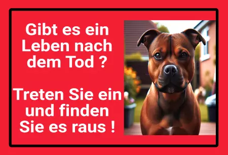 Hunde Warnschild Zutritt verbotenHunde Gibt es ein Leben nach dem Tod? Bild