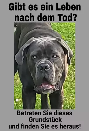 Hunde Warnschild Zutritt verbotenHunde Gibt es ein Leben nach dem Tod? Bild