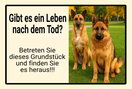 Hunde Warnschild Zutritt verbotenHunde Gibt es ein Leben nach dem Tod? Bild